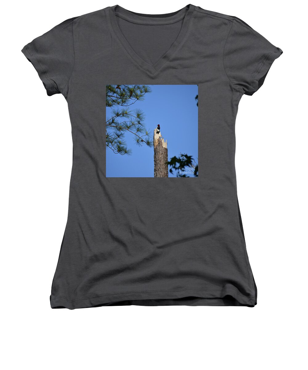 Scenic Tours Women's V-Neck featuring the photograph Old Red by Skip Willits