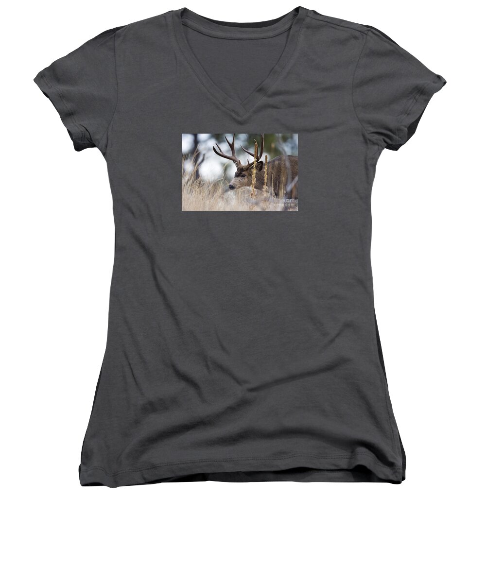 Deer Women's V-Neck featuring the photograph Old Timer by Douglas Kikendall
