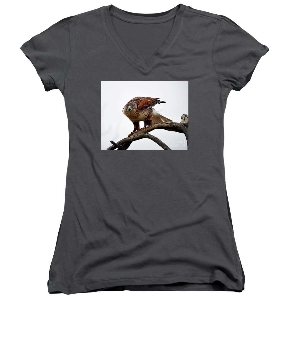 Denise Bruchman Women's V-Neck featuring the photograph On the Hunt by Denise Bruchman