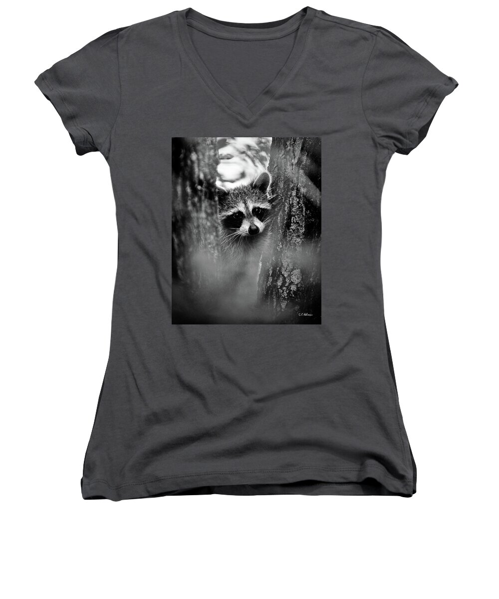 Racoon Women's V-Neck featuring the photograph On Watch - BW by Christopher Holmes
