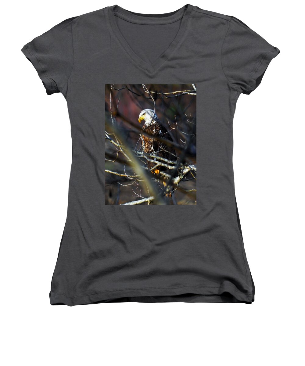 Eagle Women's V-Neck featuring the photograph On Watch by Chuck Brown