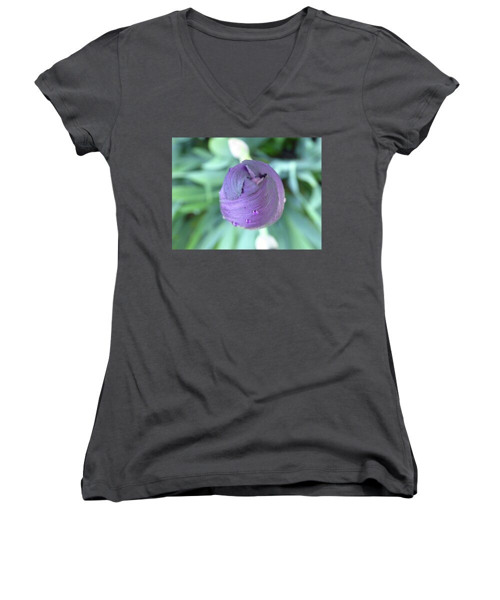 Iris Unopened Bloom Blossom Closed Bearded Purple Lavender Violet Droplets Rain Dew Macro Isolated New Women's V-Neck featuring the photograph Opening Soon by Leon DeVose