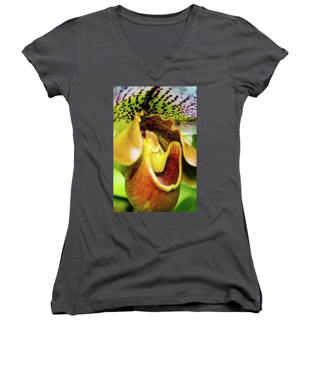 Cleveland Botanical Gardens Women's V-Neck featuring the photograph Orchid Faces by Stewart Helberg