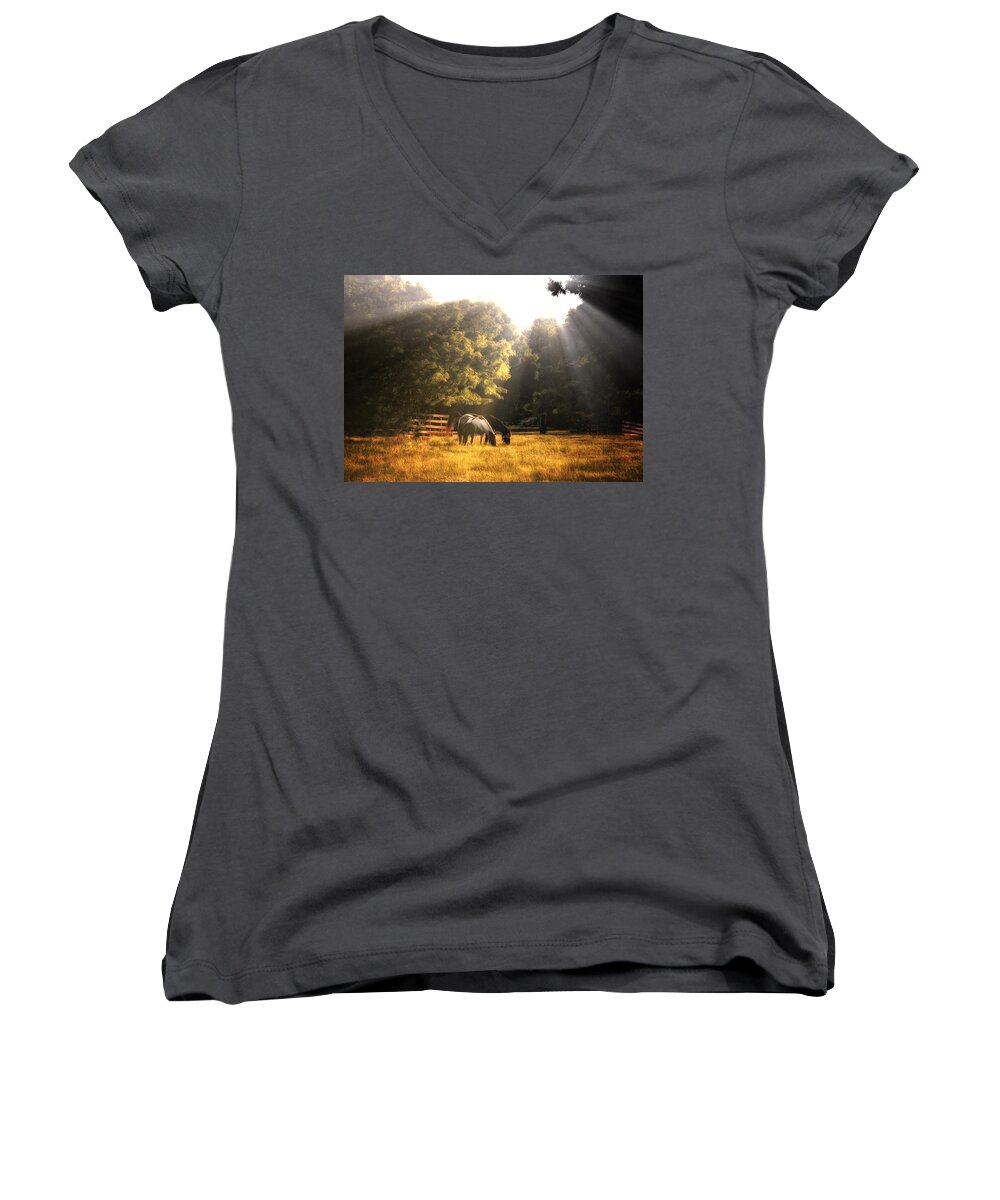 Horse Women's V-Neck featuring the photograph Out To Pasture by Mark Fuller