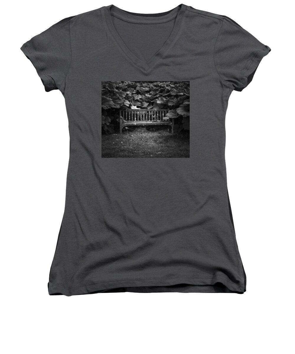 Park Bench Women's V-Neck featuring the photograph Overgrown by Jason Moynihan