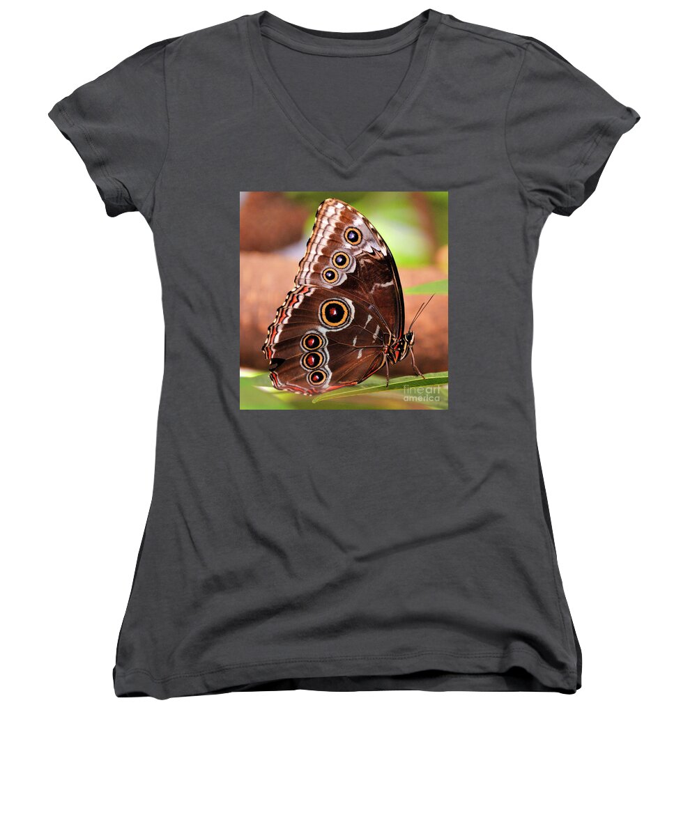 Owl Butterfly Women's V-Neck featuring the photograph Owl Butterfly Portrait by Kathy Kelly