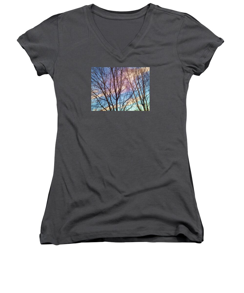 Trees Women's V-Neck featuring the photograph Paintbrush by Chris Dunn