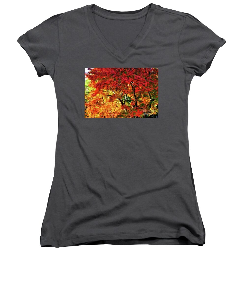 Photography Women's V-Neck featuring the photograph Painted Autumn by Kaye Menner by Kaye Menner