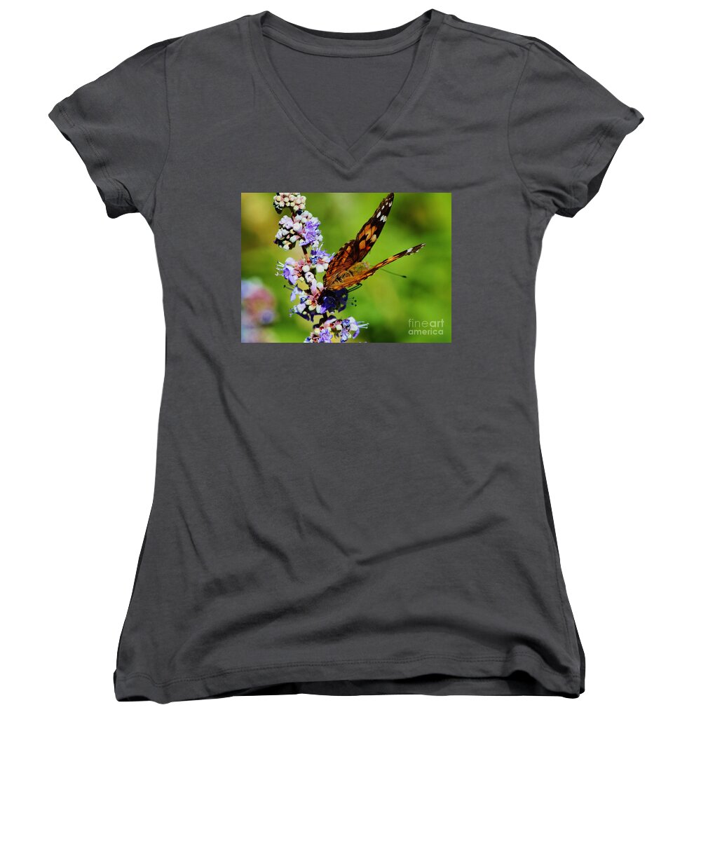 Butterflies Women's V-Neck featuring the photograph Painted Lady II by Marcia Breznay