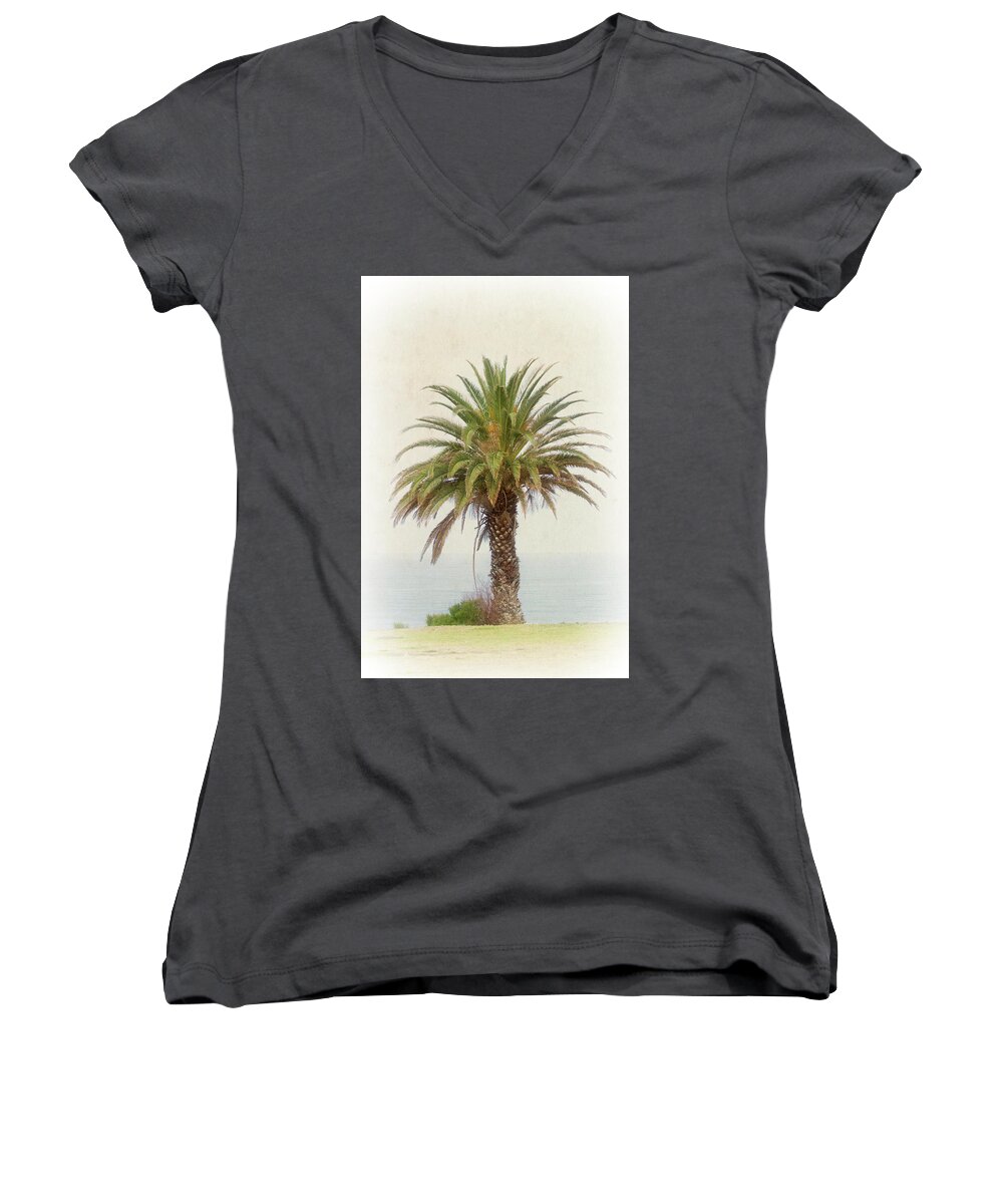 Palm Tree Women's V-Neck featuring the photograph Palm Tree in Coastal California in a Retro Style by Anthony Murphy