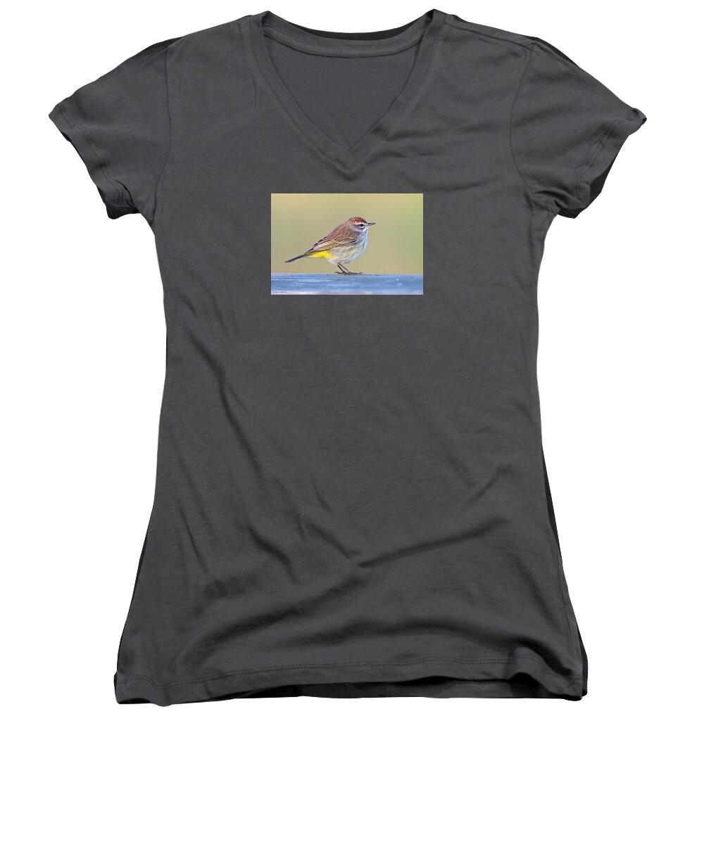 Palm Warbler Women's V-Neck featuring the photograph Palm Warbler by John Harmon