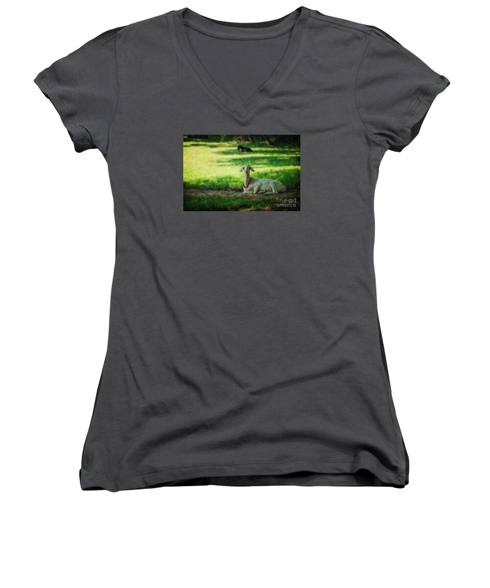 (calm Or Still) Women's V-Neck featuring the photograph Peaceful Pasture by Debra Fedchin