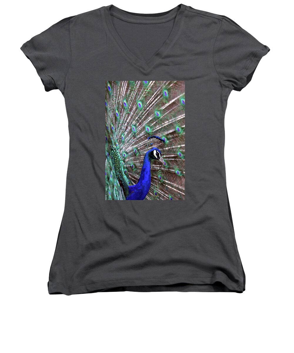 Zoo Women's V-Neck featuring the photograph Peacock Profile by Angelina Tamez
