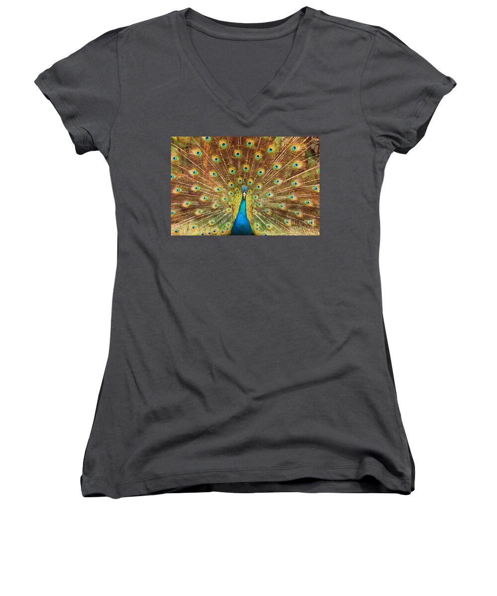 Animal Women's V-Neck featuring the photograph Peacock showing its feathers XL by Patricia Hofmeester