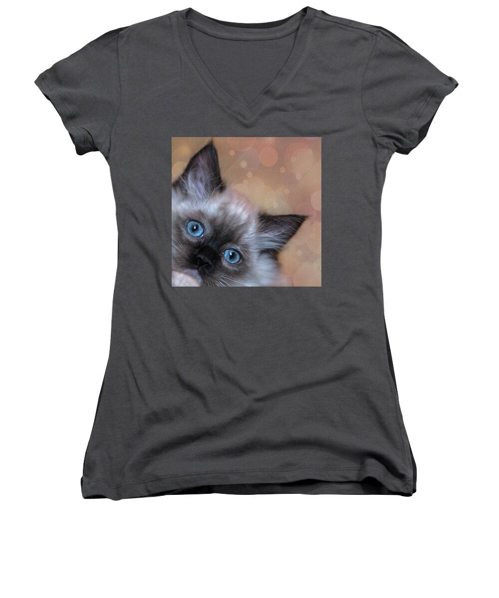 Cat Women's V-Neck featuring the photograph Peek-A-Boo 2 by Jennifer Grossnickle