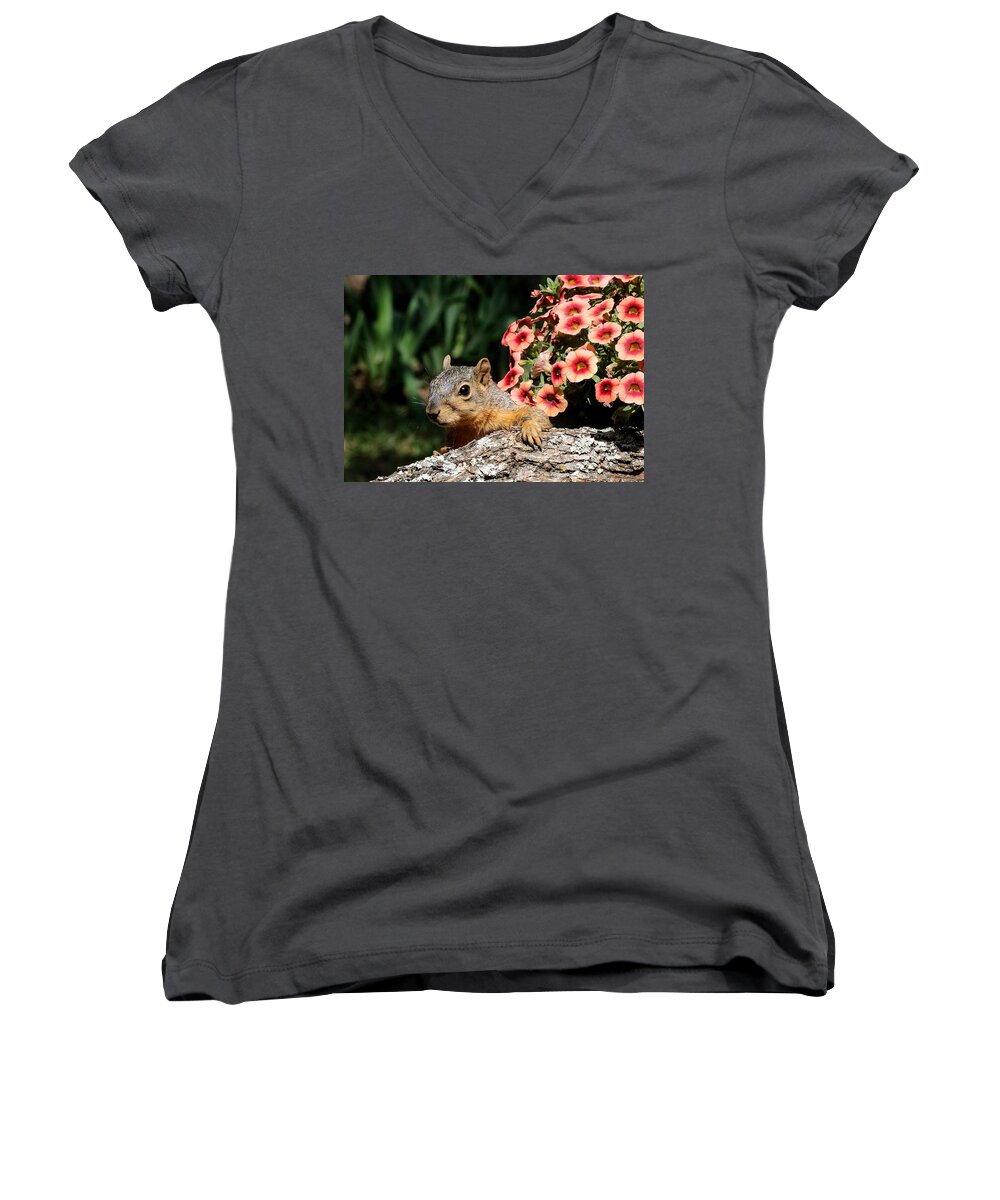 Nature Women's V-Neck featuring the photograph Peek-a-Boo Squirrel by Sheila Brown