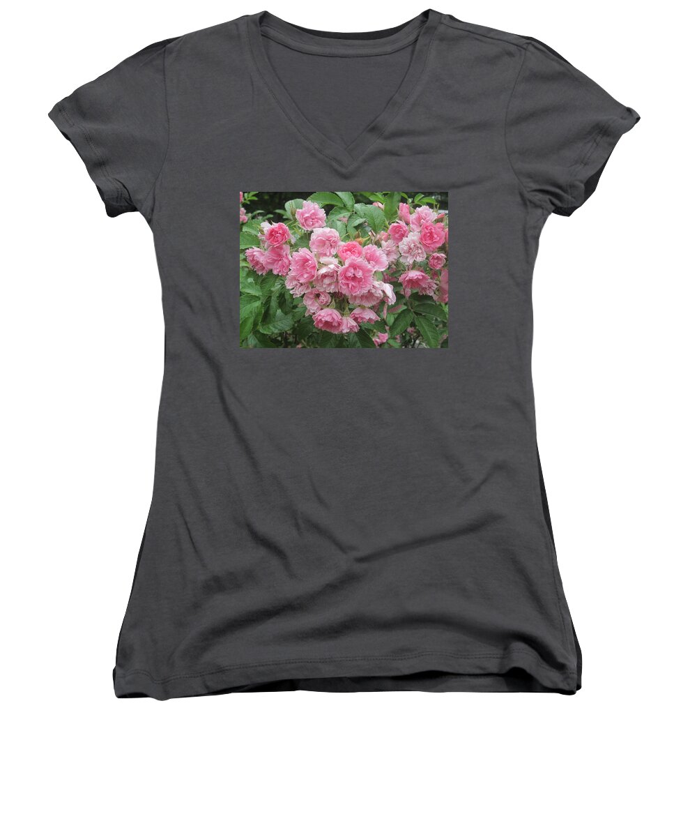 Photos By Paul Meinerth Women's V-Neck featuring the photograph Peonies at Glen Magna Farms by Paul Meinerth