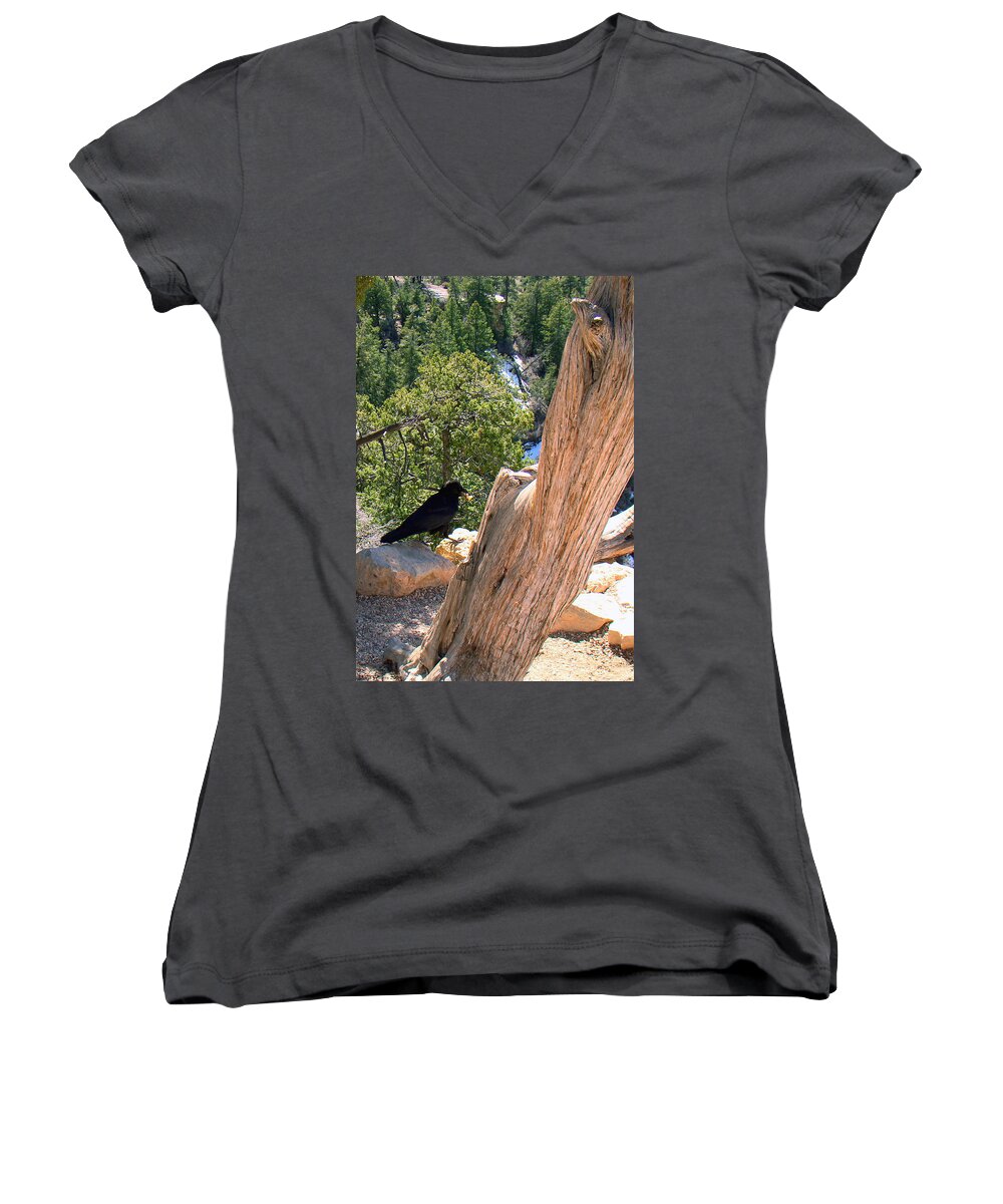 Grand Canyon Women's V-Neck featuring the photograph Petrified Raven at Grand Canyon by Merja Waters