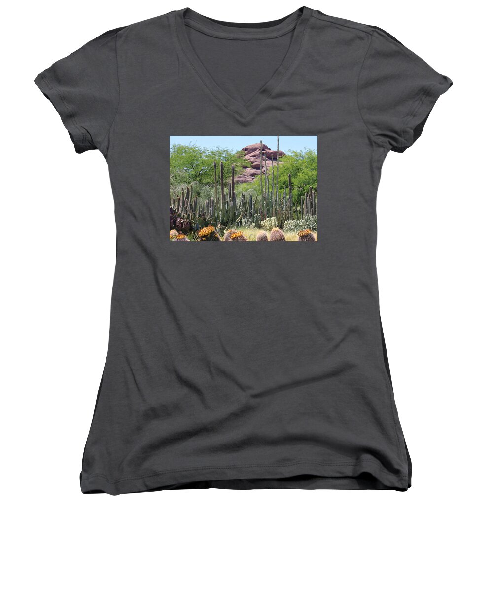 Desert Women's V-Neck featuring the photograph Phoenix Botanical Garden by Carol Groenen
