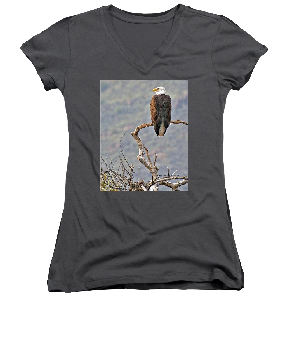 Eagle Women's V-Neck featuring the photograph Phoenix Eagle by Matalyn Gardner