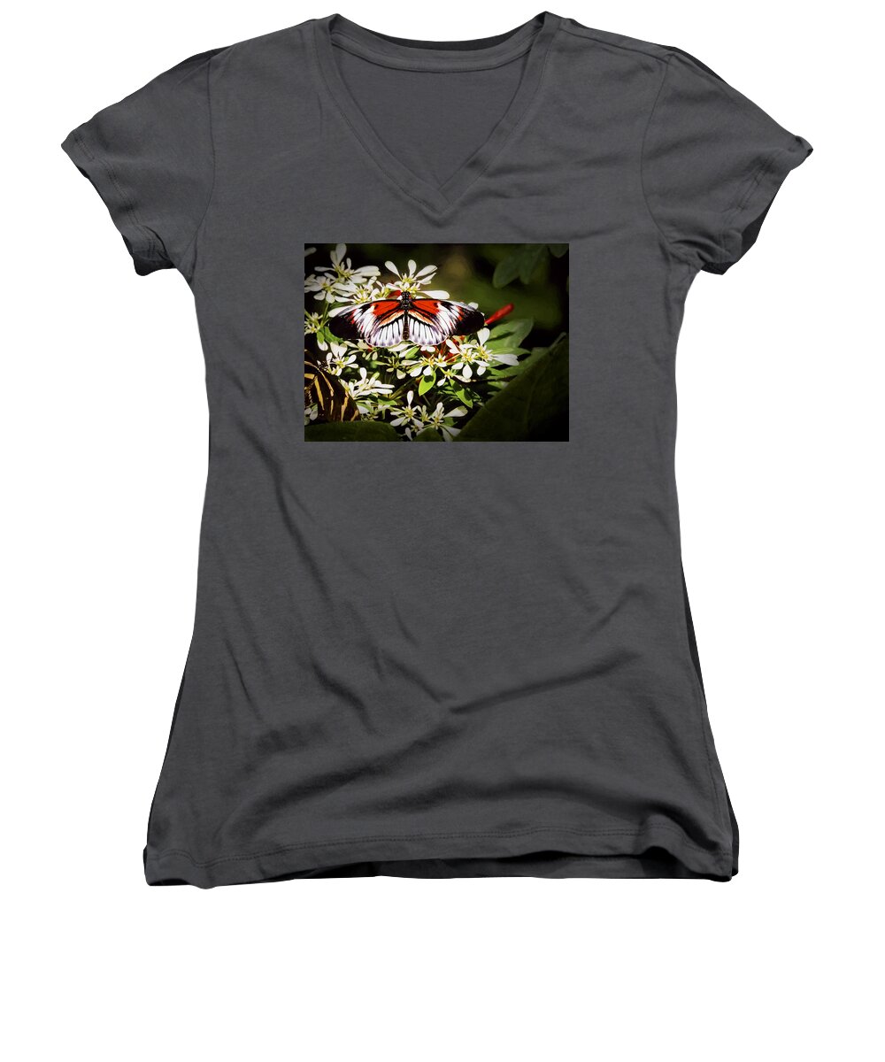 Heliconuis Melpomene Women's V-Neck featuring the photograph Piano Key 3 by Penny Lisowski