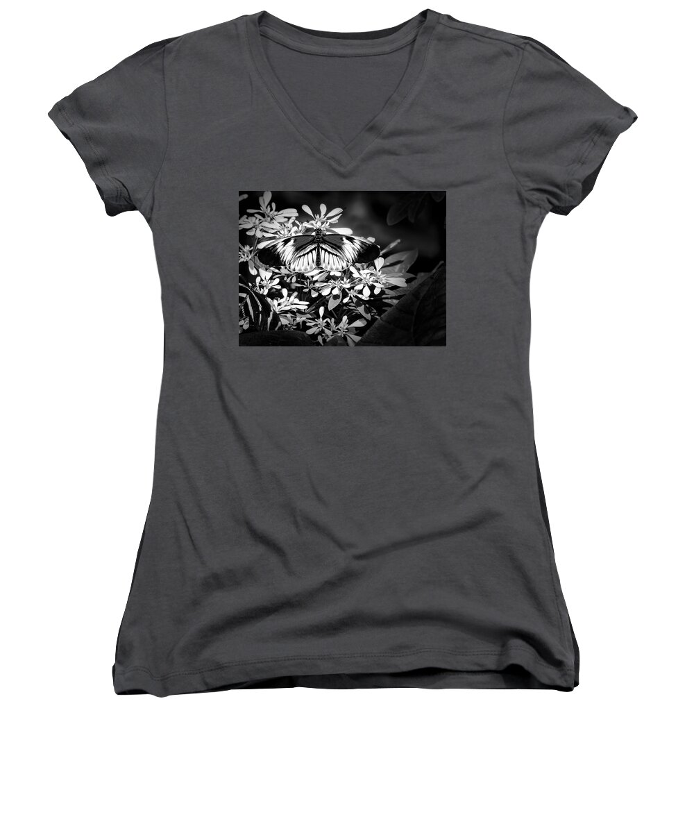 Heliconuis Melpomene Women's V-Neck featuring the photograph Piano Key 4 by Penny Lisowski