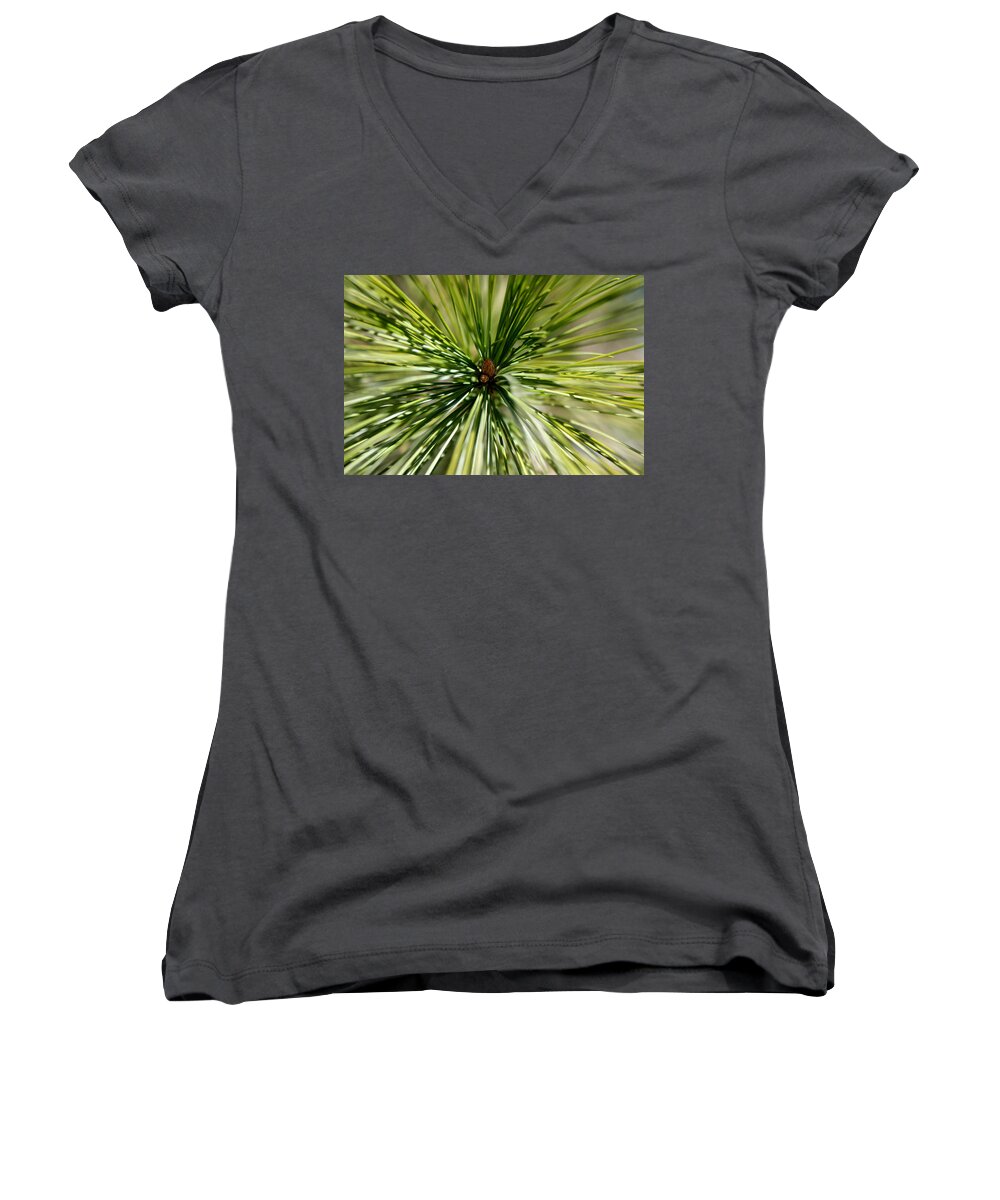 Pine Needles Women's V-Neck featuring the photograph Pine Needles by Laura Kinker