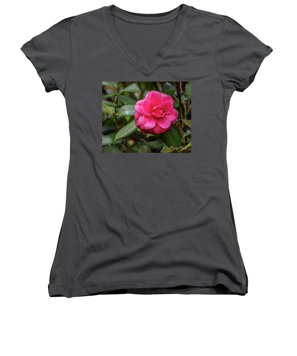 Ul Women's V-Neck featuring the photograph Pink Camelia 02 by Gregory Daley MPSA