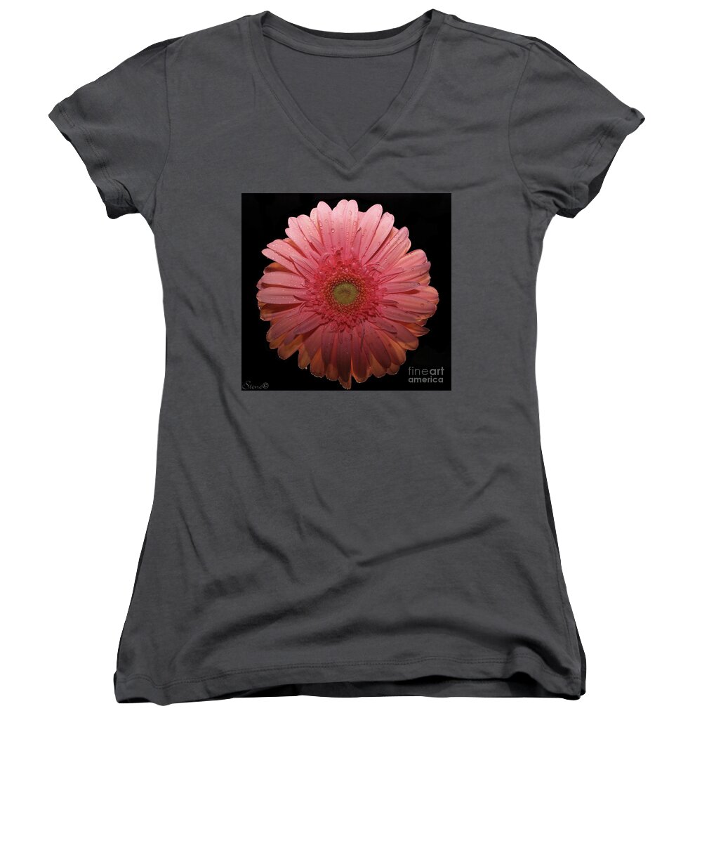 Macro Women's V-Neck featuring the photograph Pink Gerbera Daisy by September Stone