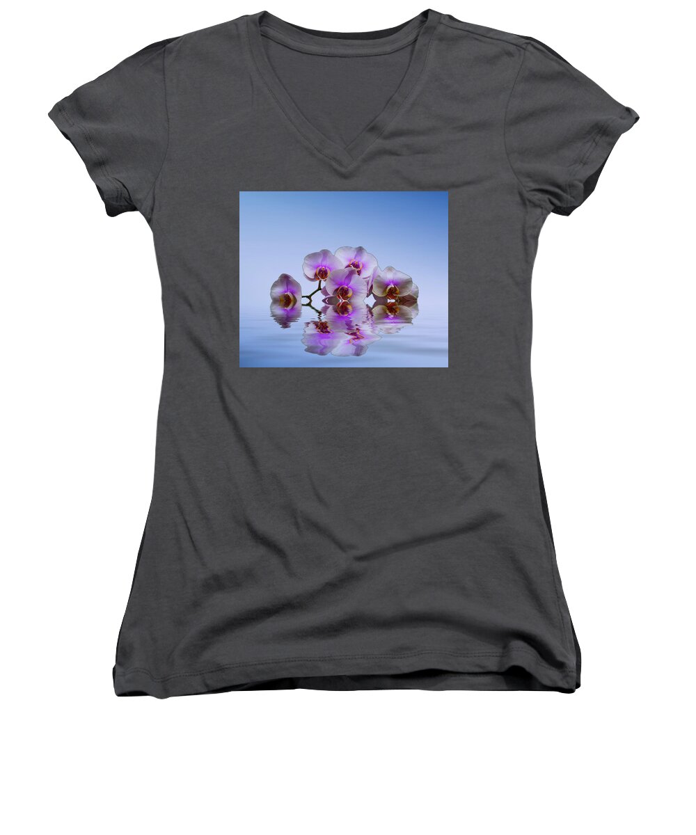 Flowers Women's V-Neck featuring the photograph Pink Orchids Blue background by David French