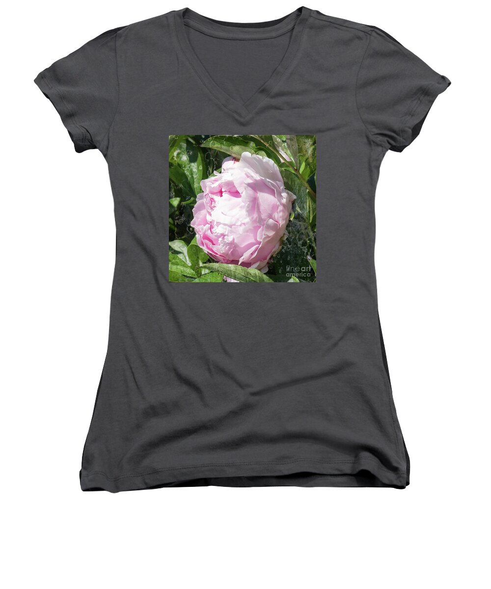 Pink Peony Women's V-Neck featuring the photograph Pink Peony by Scott and Dixie Wiley