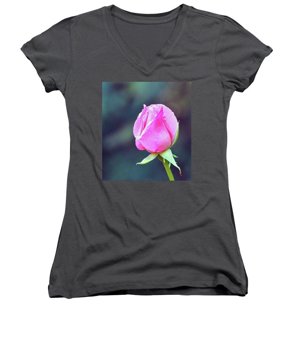 Pink Women's V-Neck featuring the photograph Pink Rose by Brian O'Kelly