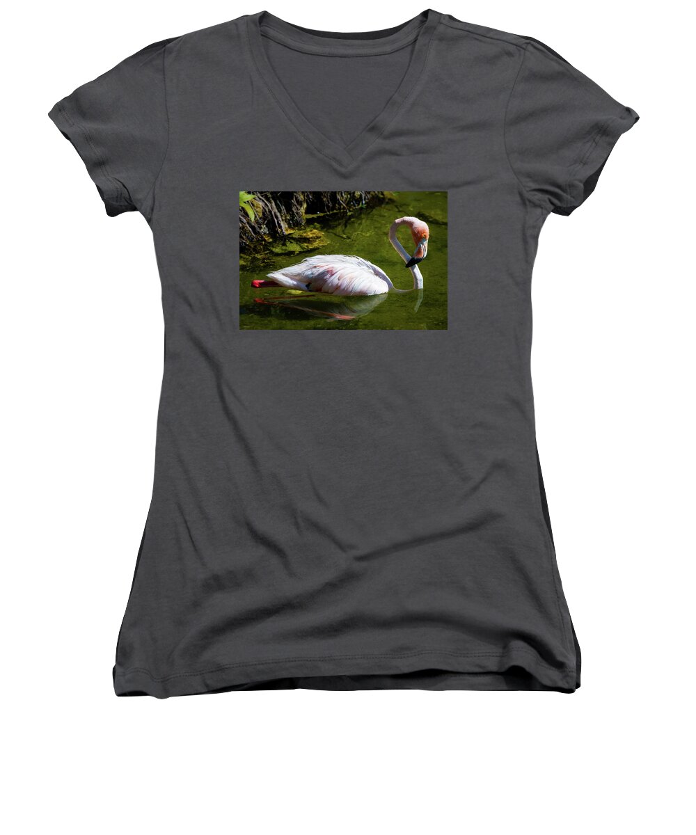 Pink Women's V-Neck featuring the photograph Pink by Ross Henton