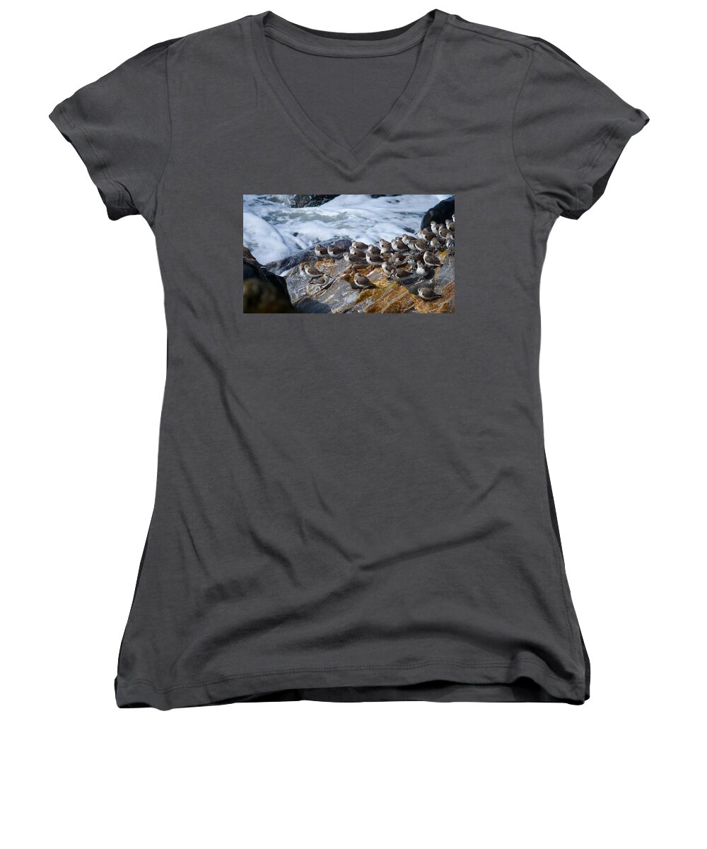 Ocean Women's V-Neck featuring the photograph Piper Convention by Alex King