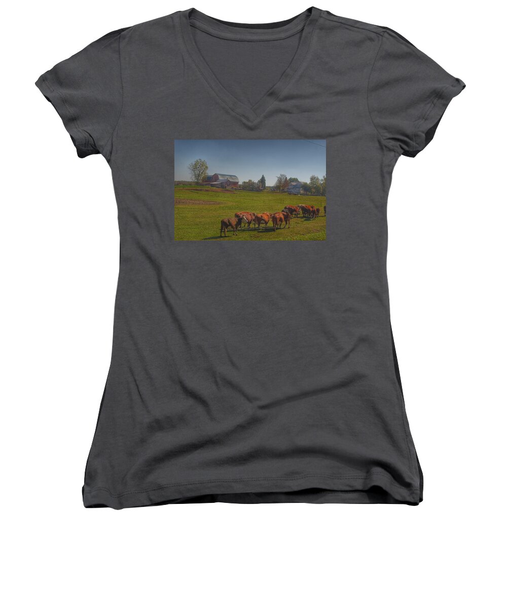 Cows Women's V-Neck featuring the photograph 1014 - Plain Road Farm and Cows I by Sheryl L Sutter