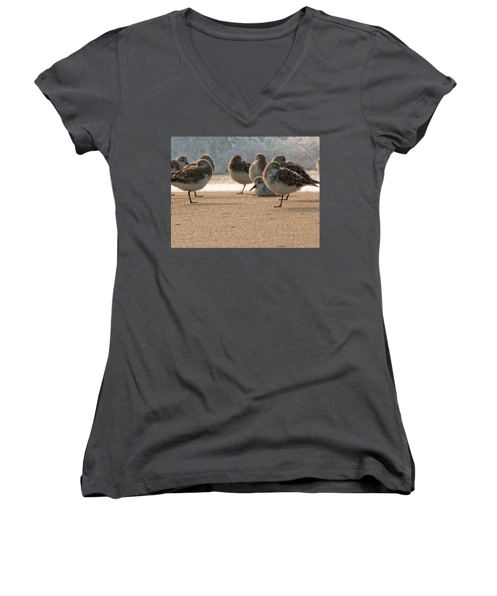Plover Women's V-Neck featuring the photograph Plovers in the morning sunlight by Christopher Mercer
