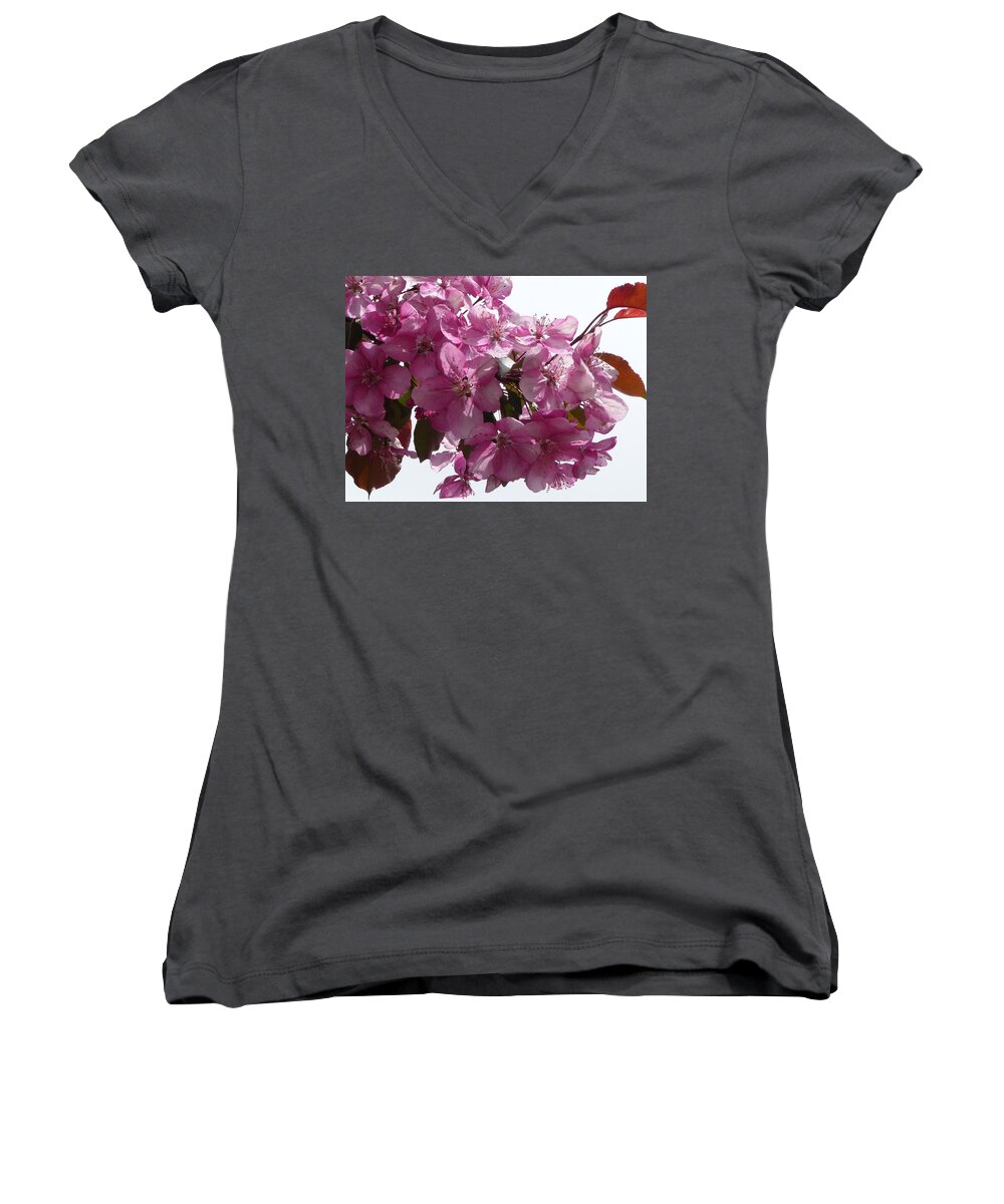 Flowers Women's V-Neck featuring the photograph Plum Perfect by Ruth Kamenev