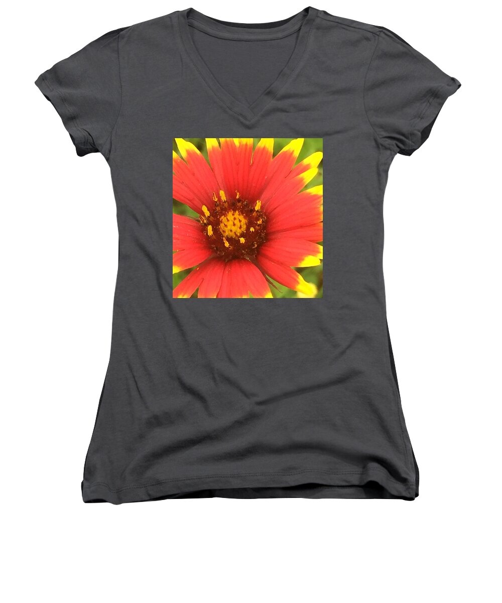 Spring Women's V-Neck featuring the photograph Pollinated by Etta Harris