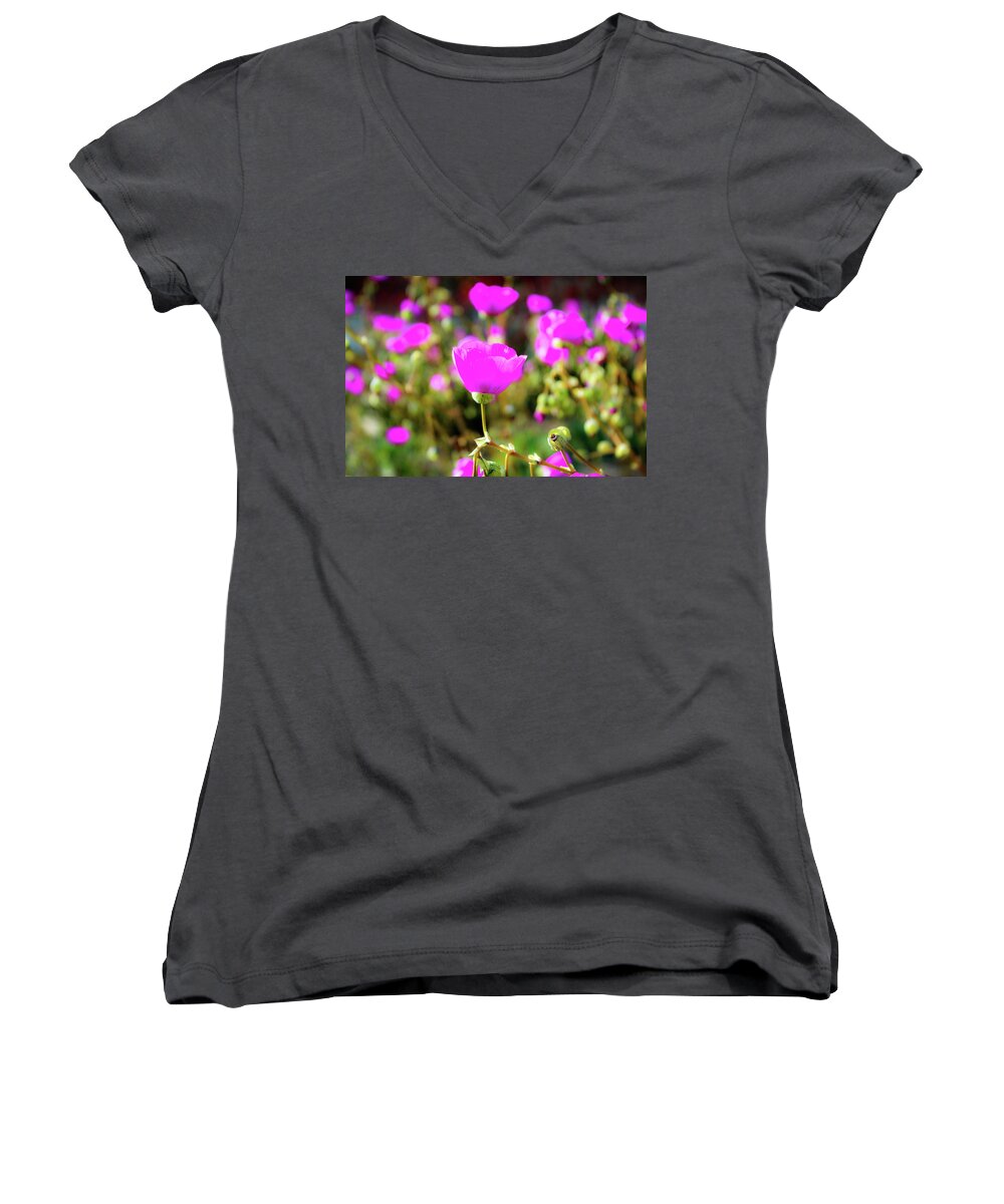 Poppies Women's V-Neck featuring the photograph Poppies by Alison Frank
