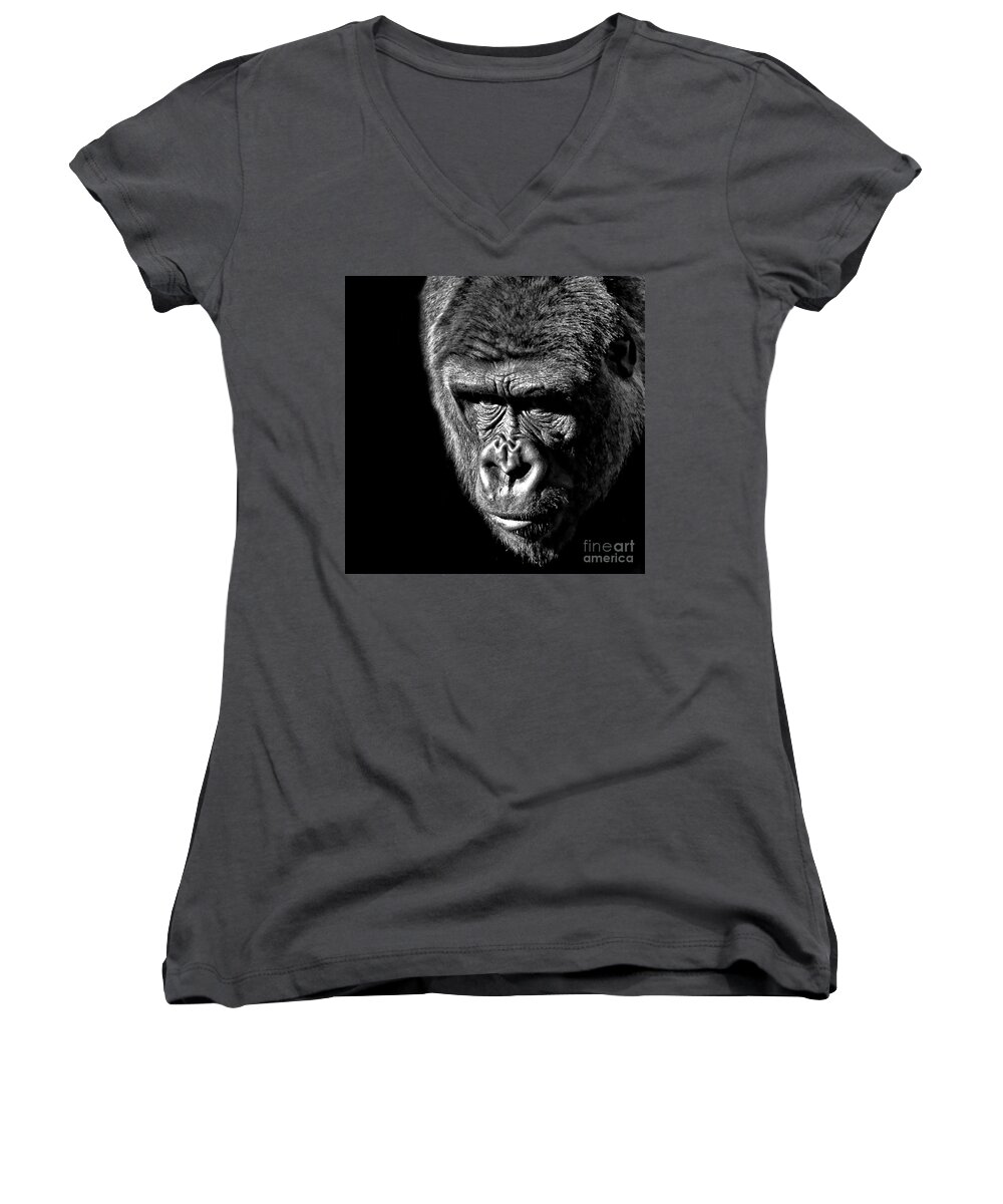 Ape Women's V-Neck featuring the photograph Portrait of a Silverback III by Jim Fitzpatrick
