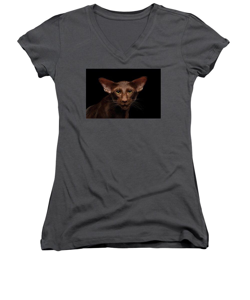 Cat Women's V-Neck featuring the photograph Portrait of Brown Oriental cat on isolated black background by Sergey Taran