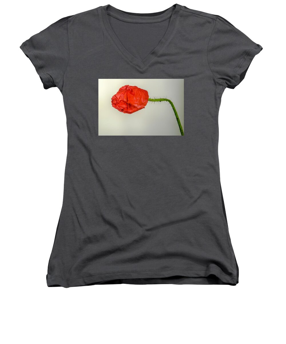Poppies Women's V-Neck featuring the photograph Posing fire red poppy by Wolfgang Stocker
