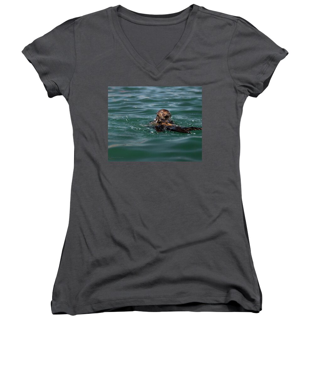 Nature Women's V-Neck featuring the photograph Pounding Muscle by Denise Dube