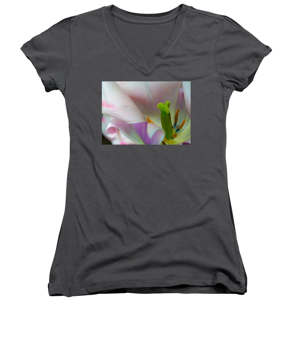 Flowers Women's V-Neck featuring the photograph Private Showing by Stewart Helberg