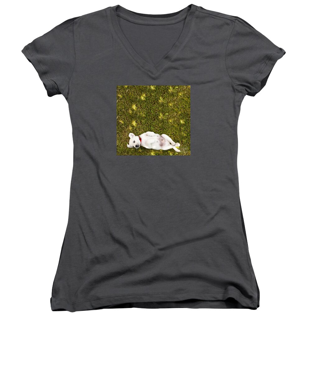 Puppy Women's V-Neck featuring the photograph Puppy in the Grass by Diane Diederich
