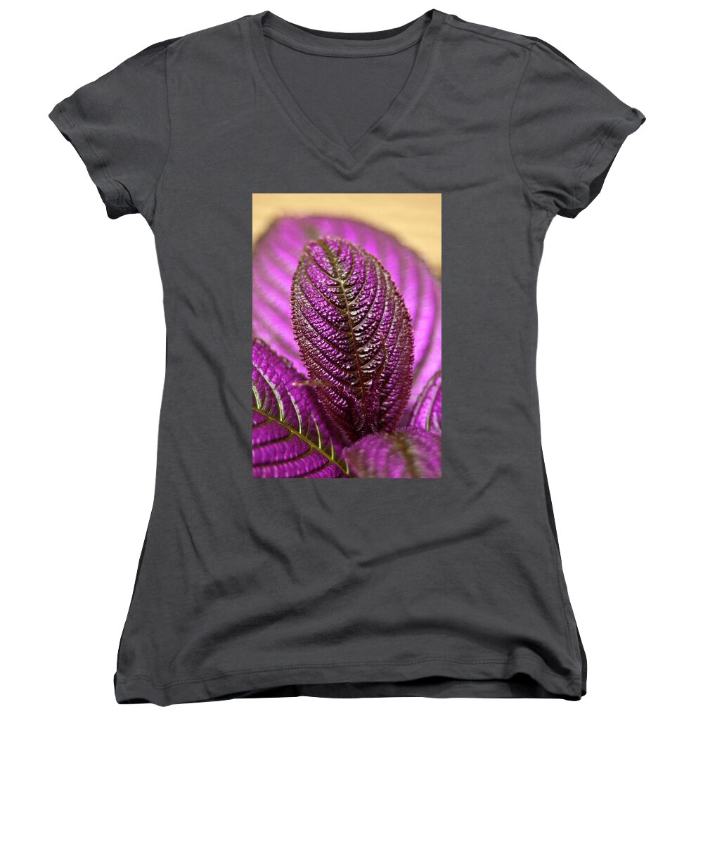 Coleus Women's V-Neck featuring the photograph Purple Coleus by Carolyn Marshall
