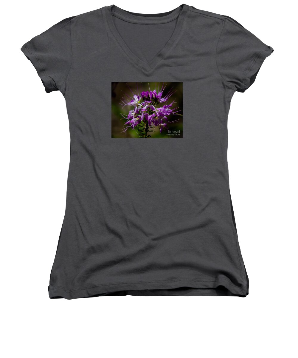 Nature Women's V-Neck featuring the photograph Purple Flower 1 by Christy Garavetto