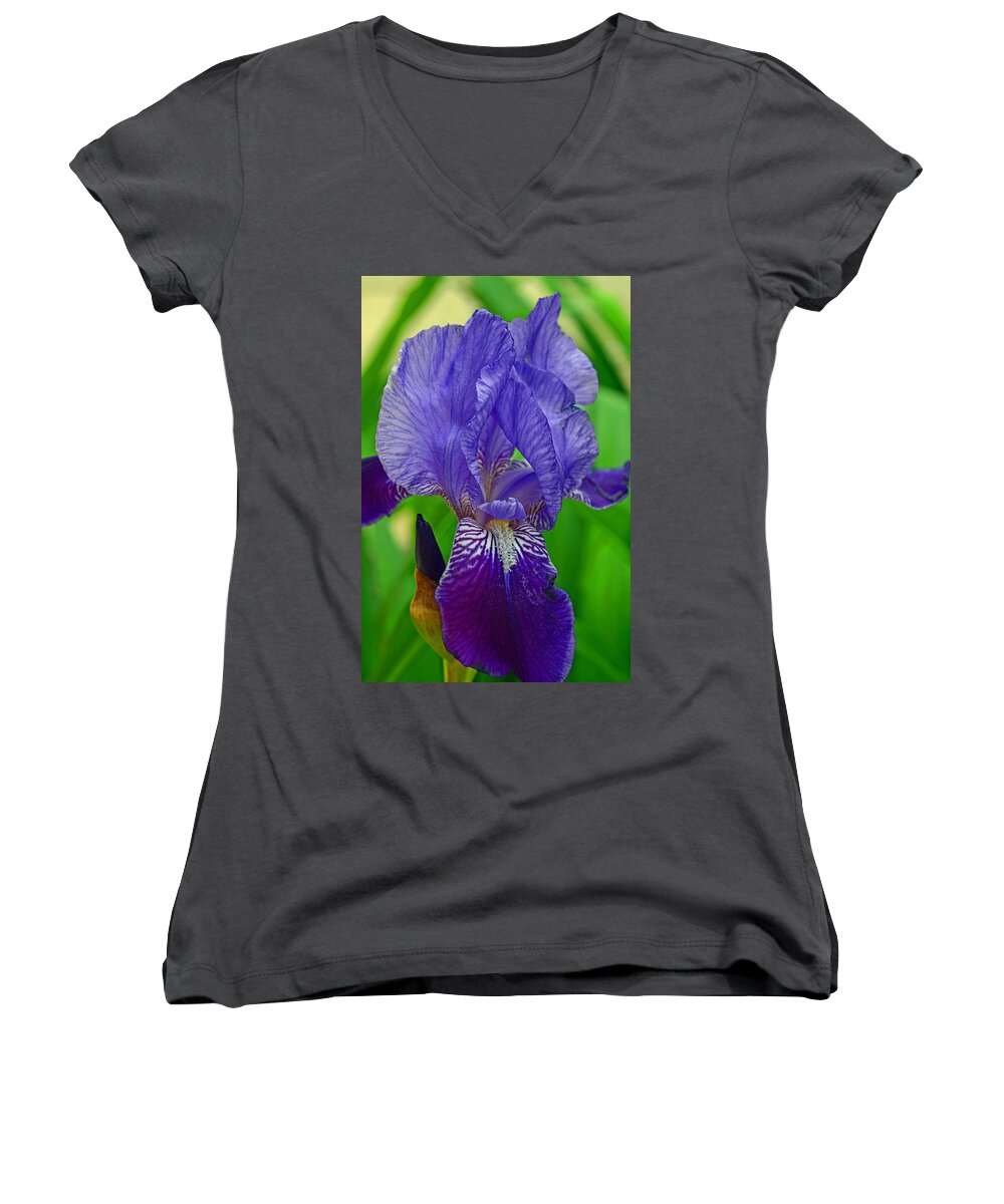 Purple Iris Women's V-Neck featuring the photograph Purple Iris by Lisa Phillips