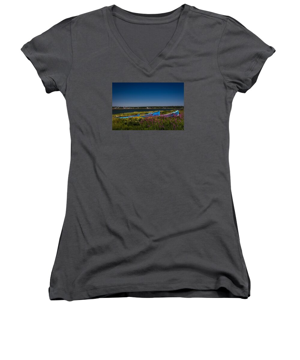 Wildflowers Women's V-Neck featuring the photograph Put Out To Pature by Peter Scott