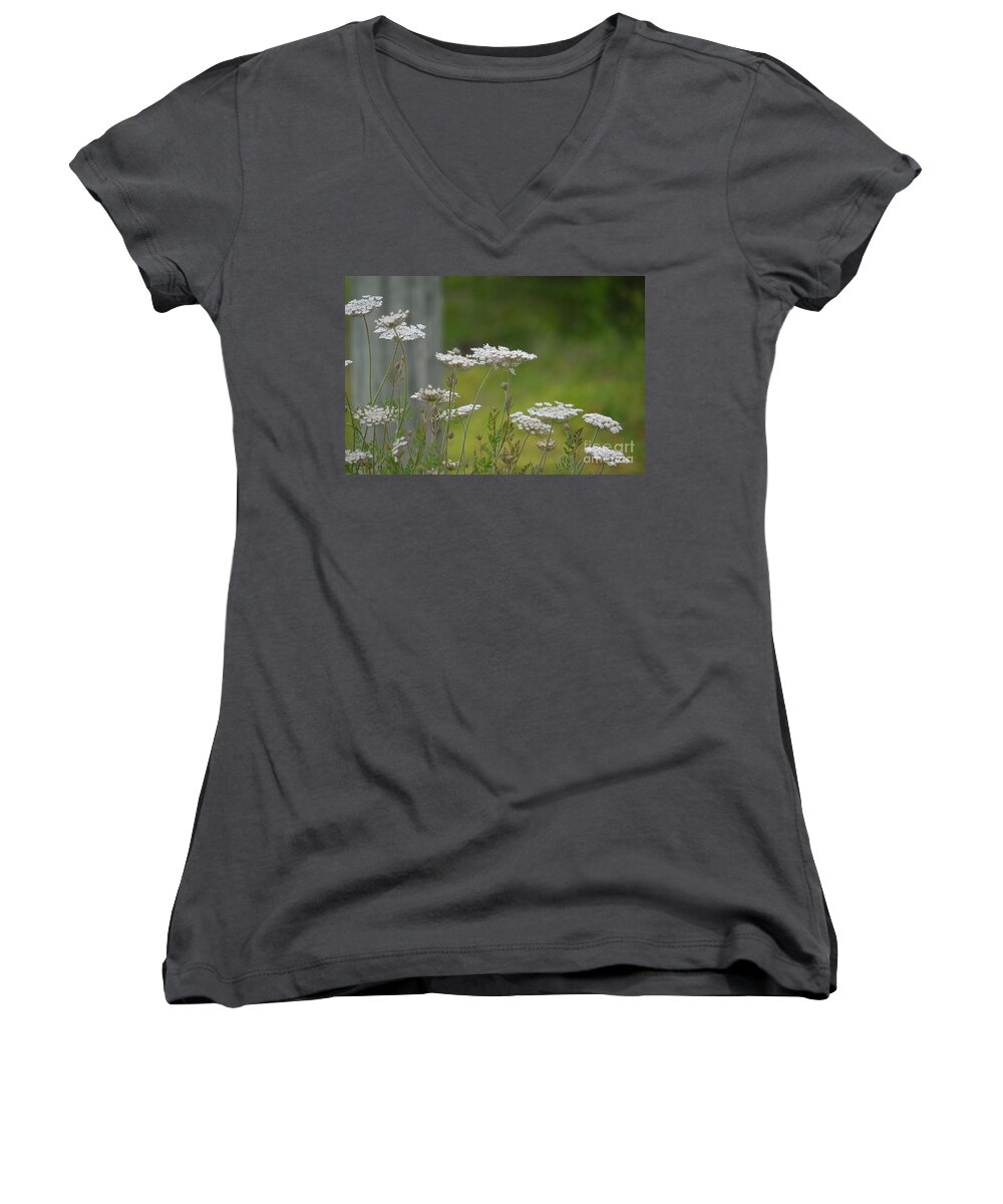 Queen Anne Lace Wildflowers Women's V-Neck featuring the photograph Queen Anne Lace Wildflowers by Maria Urso